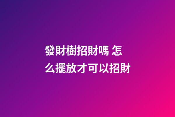 發財樹招財嗎 怎么擺放才可以招財
